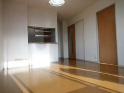 日当たり良好の画像